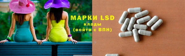 spice Каменка