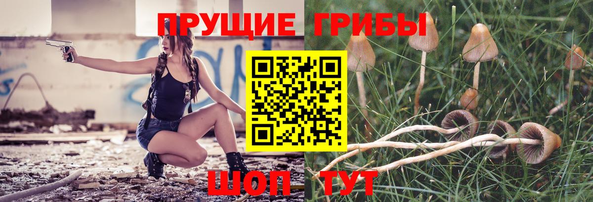 Екатеринбург  Галлюциногенные грибы MAGIC MUSHROOMS  Вход с VPN  Псилоцибиновые грибы мухоморы 